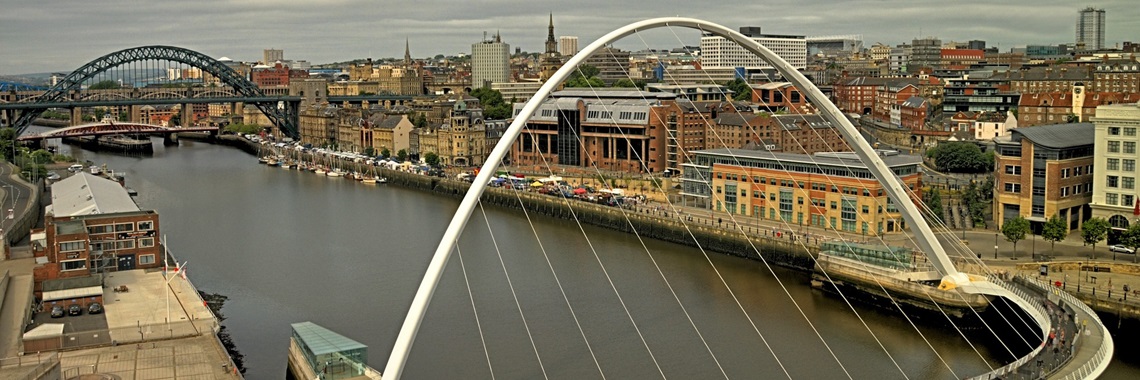 A Level Homeschooling Student