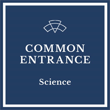 Common Entrance Science Revision Courses